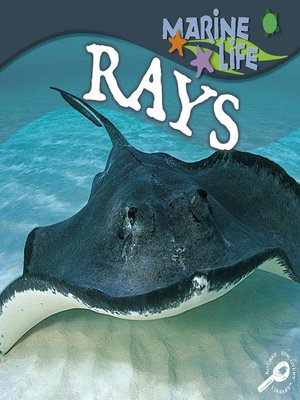 cover image of Rays